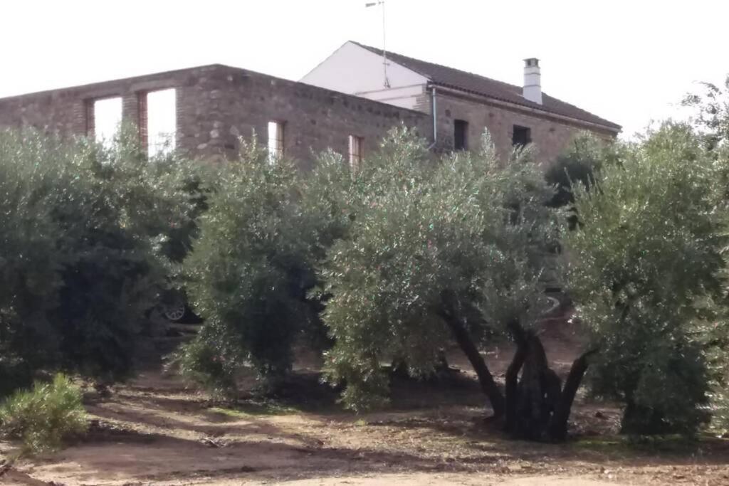 Villa Vina Las Olivas Andújar Exterior foto